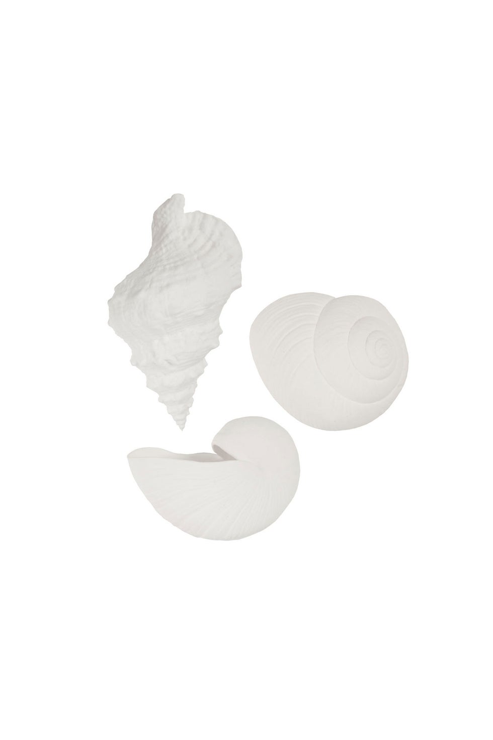 Shell Wall Vases A/3 - White