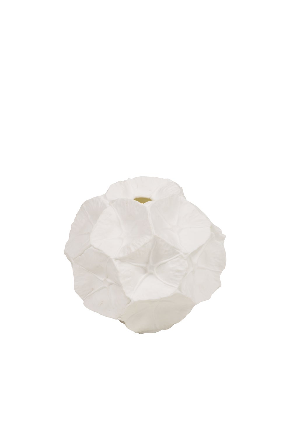 Star Studded Seed Pod Vase - White
