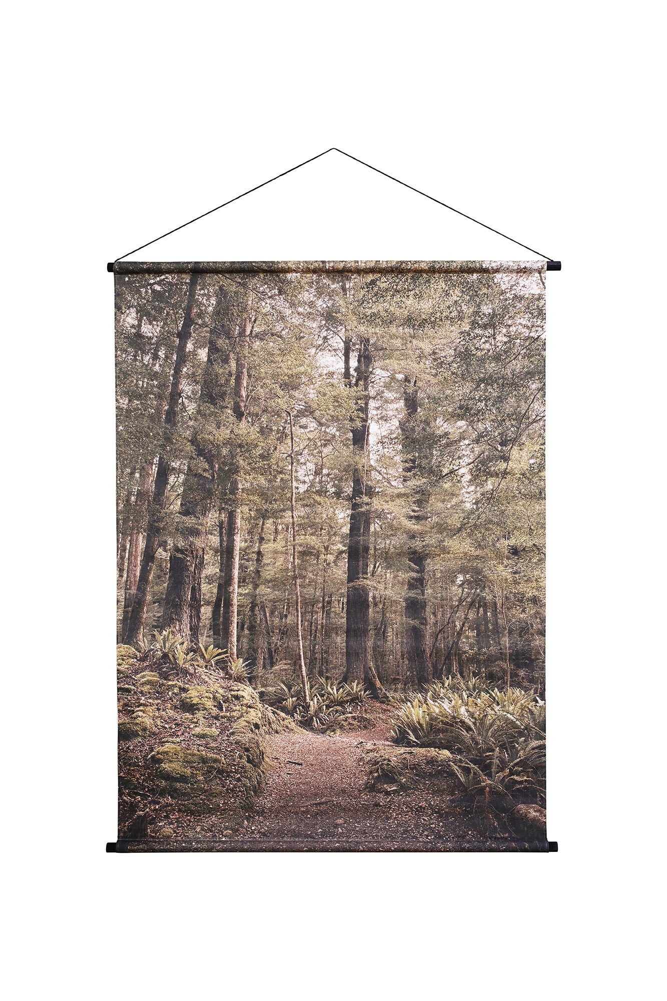 Hanging Canvas Wall Art Medium - Kepler Track