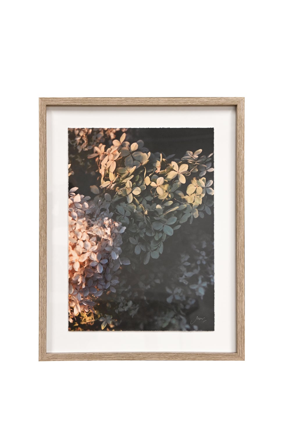 Framed Wall Art - Hydrangeas
