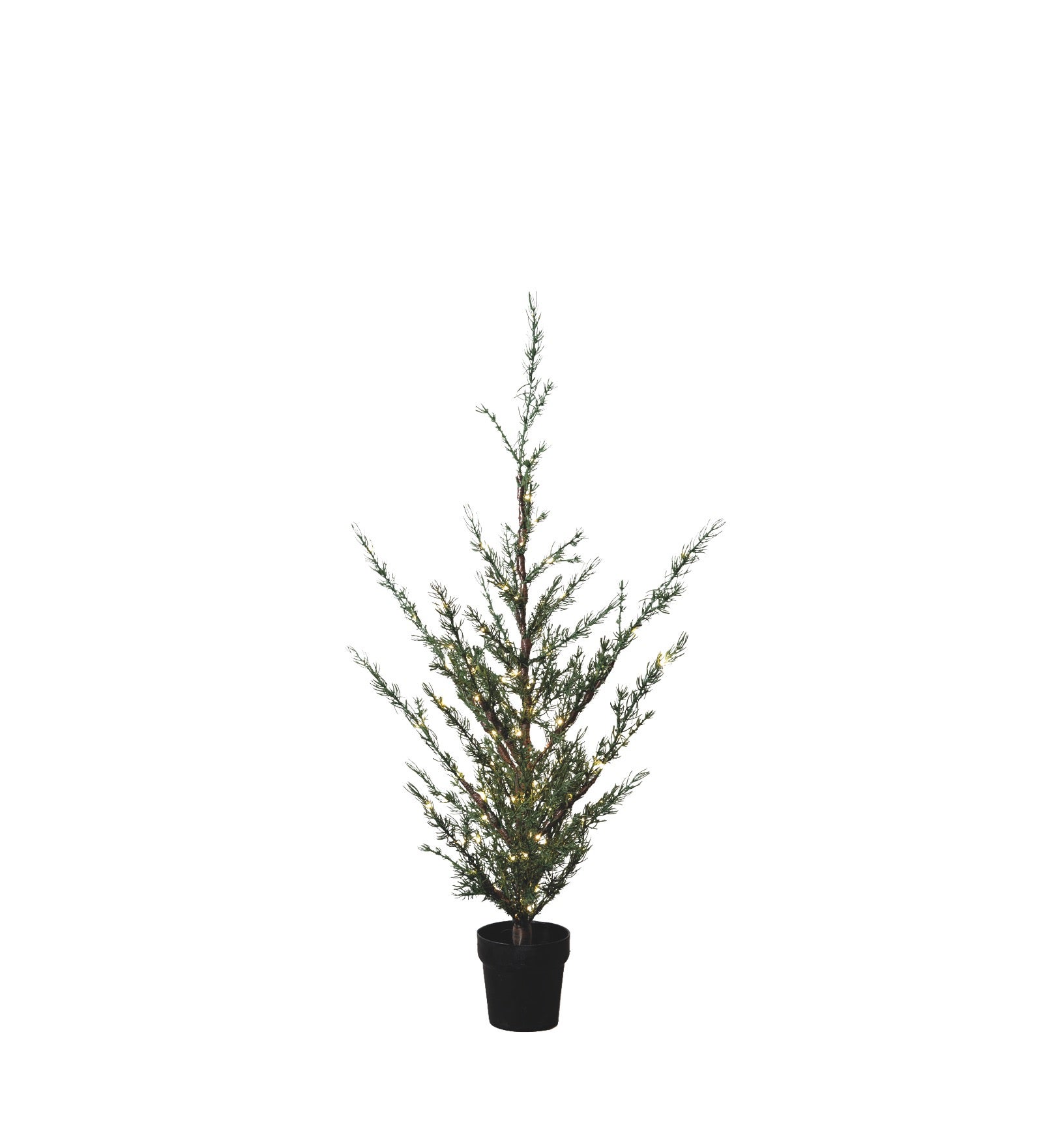 SIRIUS Milas Cedar Outdoor Tree - 1.3m